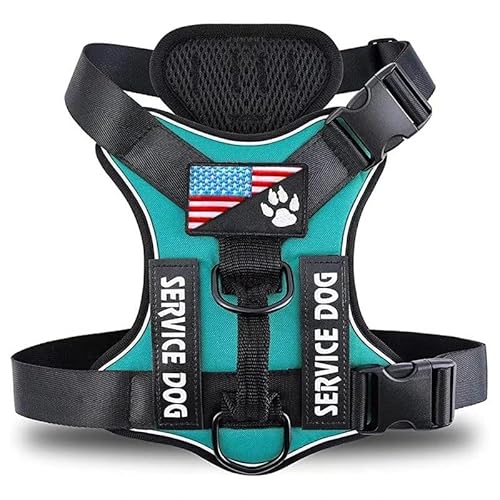 Outdoor Reflective Dog Training Jagd Camping Sicherheitsweste Kabelbaum Weiche Und Komfortable Verstellbare Service -Hundekabelbaum Für Mittlere Und Große Hunde,Grün,M Outdoor Reflective Dog Training Jagd Camping Sicherheitsweste Kabelbaum Weiche Und Komfortable Verstellbare Service -Hundekabelbaum Für Mittlere Und Große Hunde,Grün,M von GUQOFAIE