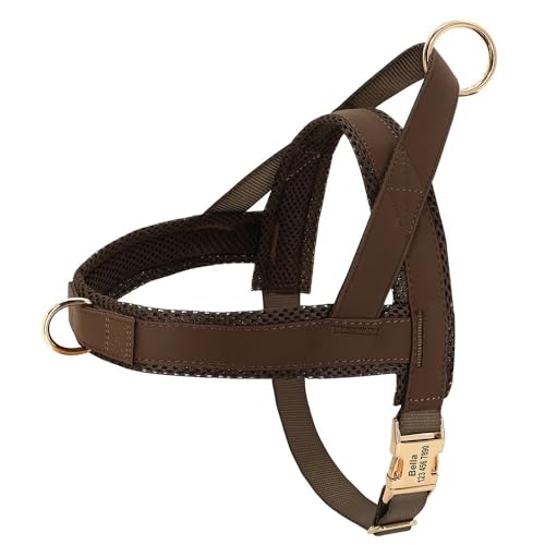 Personalisierte Anti-verlorene Große Hundekabelbaumverstellbares Mesh Leder Haustierkabelbaumweste Passt Kleine Mittelgroße Hunde Haustier Vorräte,Braun,XS Personalisierte Anti-verlorene Große Hundekabelbaumverstellbares Mesh Leder Haustierkabelbaumweste Passt Kleine Mittelgroße Hunde Haustier Vorräte,Braun,XS von GUQOFAIE