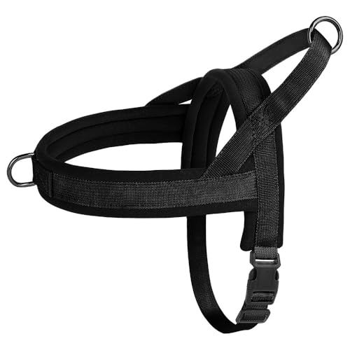 Verstellbare Gepolsterte Nylon -Haustierkabelbaumweste Weich Und Bequem Kein Kleines Und Mittleres Hundegurt Für Kleine Hunde Pitbull Chihuahua Mops,Schwarz,M von GUQOFAIE
