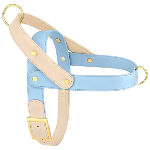 Verstellbarer Ohne Spannung Lederhundkabelbaum Weiche Und Komfortable Gepolsterte Haustierkabelbaumweste Für Mops Pitbull Labrador French Bulldogge,Blau,S Verstellbarer Ohne Spannung Lederhundkabelbaum Weiche Und Komfortable Gepolsterte Haustierkabelbaumweste Für Mops Pitbull Labrador French Bulldogge,Blau,S von GUQOFAIE
