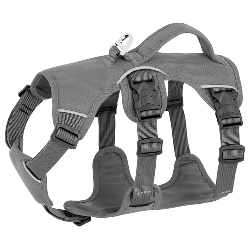Wasserdichtem Reflektierendem Nylon -Hundegerichtgurt Mit Mittlerem Und Großem Hund Training Wandeln Camping Jagdgurt Mit Griff Für Deutsche Labrador Shepherd,GRAU,M Wasserdichtem Reflektierendem Nylon -Hundegerichtgurt Mit Mittlerem Und Großem Hund Training Wandeln Camping Jagdgurt Mit Griff Für Deutsche Labrador Shepherd,GRAU,M von GUQOFAIE
