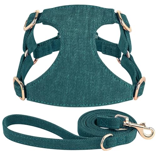 Weich Bequeme Süße Baumwollverstellbares Hundekabelbaum Mit 150 cm Leine Set Set Feste Farbhundkatze Atmungsfreies Mesh -Gurt Leine Set Für Chihuahua Yorkshire Terrier,Grün,M Weich Bequeme Süße Baumwollverstellbares Hundekabelbaum Mit 150 cm Leine Set Set Feste Farbhundkatze Atmungsfreies Mesh -Gurt Leine Set Für Chihuahua Yorkshire Terrier,Grün,M von GUQOFAIE