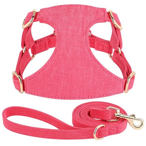 Weich Bequeme Süße Baumwollverstellbares Hundekabelbaum Mit 150 cm Leine Set Set Feste Farbhundkatze Atmungsfreies Mesh -Gurt Leine Set Für Chihuahua Yorkshire Terrier,Rose Red,S Weich Bequeme Süße Baumwollverstellbares Hundekabelbaum Mit 150 cm Leine Set Set Feste Farbhundkatze Atmungsfreies Mesh -Gurt Leine Set Für Chihuahua Yorkshire Terrier,Rose Red,S von GUQOFAIE