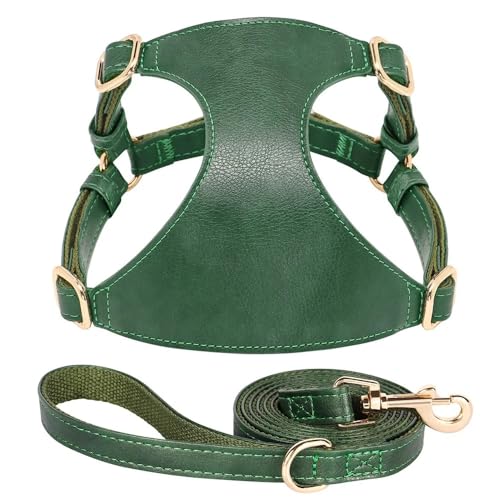 Weiche Und Bequeme PU -Lederhundkabelbaum -Leine -Set -Set Festkörperverstellbarer Welpenkabelbaumweste Mit Leine Für Kleine Und Mittlere Hunde Chihuahua Mops Geeignet,Grün,XXS von GUQOFAIE