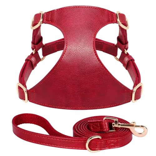 Weiche Und Bequeme PU -Lederhundkabelbaum -Leine -Set -Set Festkörperverstellbarer Welpenkabelbaumweste Mit Leine Für Kleine Und Mittlere Hunde Chihuahua Mops Geeignet,Rot,M von GUQOFAIE
