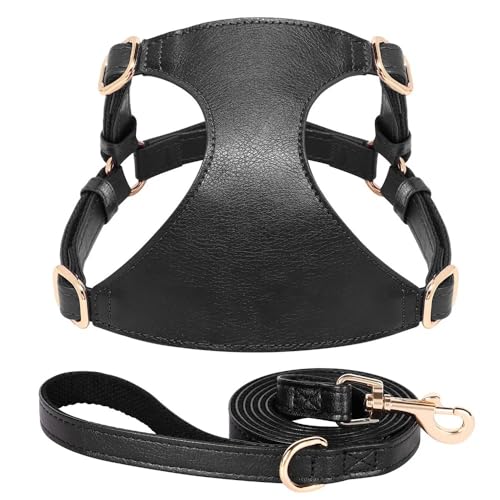Weiche Und Bequeme PU -Lederhundkabelbaum -Leine -Set -Set Festkörperverstellbarer Welpenkabelbaumweste Mit Leine Für Kleine Und Mittlere Hunde Chihuahua Mops Geeignet,Schwarz,M von GUQOFAIE