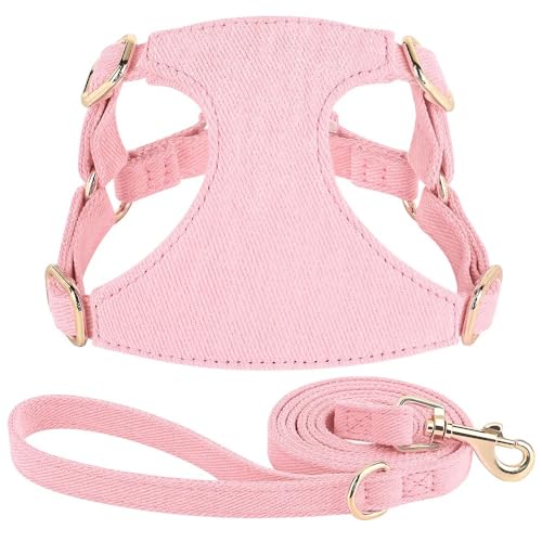 Weicher Und Bequemer Nylon Kleiner Hundegattheit Mit 150 cm Leine Verstellbare Feste Farbkatze Und Hundekabelbaumweste Für Chihuahua Yorkshire Terrier Mops,A,XXS Weicher Und Bequemer Nylon Kleiner Hundegattheit Mit 150 cm Leine Verstellbare Feste Farbkatze Und Hundekabelbaumweste Für Chihuahua Yorkshire Terrier Mops,A,XXS von GUQOFAIE