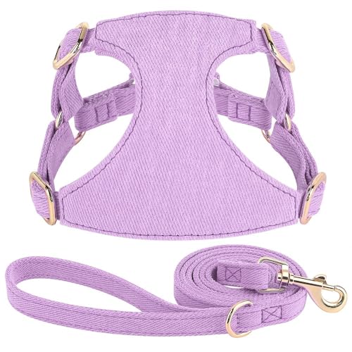 Weicher Und Bequemer Nylon Kleiner Hundegattheit Mit 150 cm Leine Verstellbare Feste Farbkatze Und Hundekabelbaumweste Für Chihuahua Yorkshire Terrier Mops,LILA,XS Weicher Und Bequemer Nylon Kleiner Hundegattheit Mit 150 cm Leine Verstellbare Feste Farbkatze Und Hundekabelbaumweste Für Chihuahua Yorkshire Terrier Mops,LILA,XS von GUQOFAIE