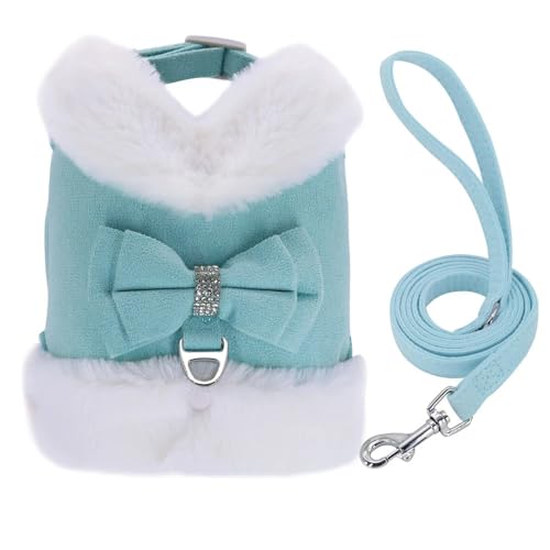Weicher Und Komfortabler Herbst- Und Winter Warmes Hundesgurt Und Leine Set Cute Bug Warm,Blau,S von GUQOFAIE