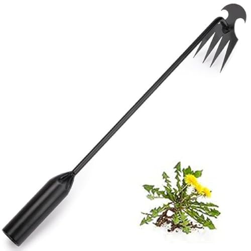 Foxyle Weed Puller, Foxyle Unkrautstecher, Unkrautstecher Edelstahl, Hand Unkrautstecher, 4 Zähne Entwurzelung Jäten Werkzeug, Unkraut Entferner Gerät für Gemüsegarten Bauernhof Jäten (Schwarz) von GUSHE