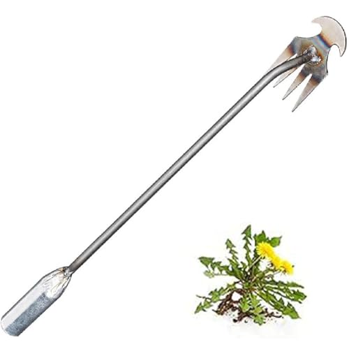 Foxyle Weed Puller, Foxyle Unkrautstecher, Unkrautstecher Edelstahl, Hand Unkrautstecher, 4 Zähne Entwurzelung Jäten Werkzeug, Unkraut Entferner Gerät für Gemüsegarten Bauernhof Jäten (Silber) von GUSHE