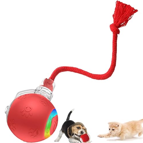 Interactive Rechargeable Ball Cat & Dog Toy,Interaktives Katzenspielzeug,Katzenspielzeug Elektrisch Katzenball mit LED Licht und Seil,USB Wiederaufladbarer,Automatischer 360 Grad Rollbal für Katzen von GUSHE