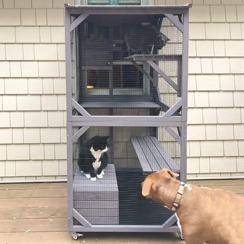 GUTINNEEN Katzenhaus Mobile Catio für Freigehege mit wasserdichtem Dach, Wildkatzenkäfig auf Rädern, Vogelkäfig mit verbesserter Ruhebox, 180 cm GUTINNEEN Katzenhaus Mobile Catio für Freigehege mit wasserdichtem Dach, Wildkatzenkäfig auf Rädern, Vogelkäfig mit verbesserter Ruhebox, 180 cm von GUTINNEEN