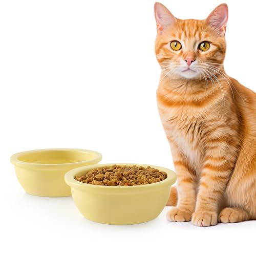 GUUSII HOME 2 Stück Katzennapf Futternapf Fressnapf Katze Keramik Katzen Napf Katzenfutternapf Katzennäpfe Katzenschüssel Ersatzschüssel Katzen Schüssel 14cm 360ml Maschinenwaschbar（Gelb） von GUUSII HOME