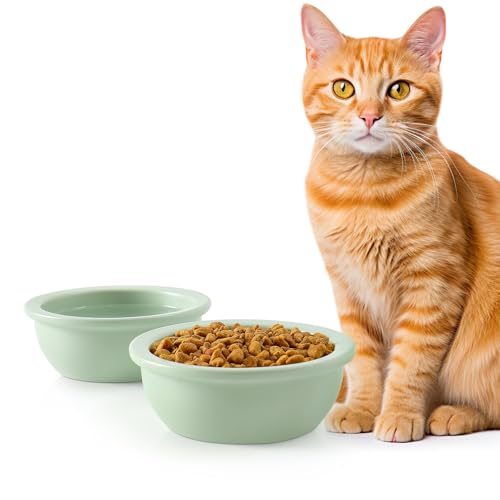 GUUSII HOME 2 Stück Katzennapf Futternapf Fressnapf Katze Keramik Katzen Napf Katzenfutternapf Katzennäpfe Katzenschüssel Ersatzschüssel Katzen Schüssel 14cm 360ml Maschinenwaschbar（Grün） von GUUSII HOME
