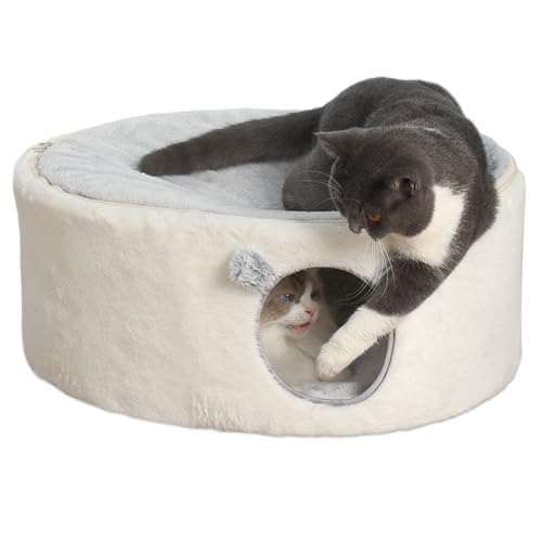 GUUSII HOME Erhöhte Katzen Bettchen für Hauskatzen Katzenhöhle Groß Kätzchen Haus Katzenliege Beiliegend Katzenschlafplatz Flaumig Kaninchen Höhle Haustier Versteck Einfache Montage 60 * 45 * 27cm GUUSII HOME Erhöhte Katzen Bettchen für Hauskatzen Katzenhöhle Groß Kätzchen Haus Katzenliege Beiliegend Katzenschlafplatz Flaumig Kaninchen Höhle Haustier Versteck Einfache Montage 60 * 45 * 27cm von GUUSII HOME