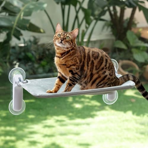 GUUSII HOME Katzen Fensterliege Faltbar Fensterbank Fensterbrettauflage Katzenbett Fenster Große Katze mit Saugnäpfen Hängematte Fensterliegeplatz Katzenliege Fensterscheibe 54 * 30cm (Grau, M) von GUUSII HOME