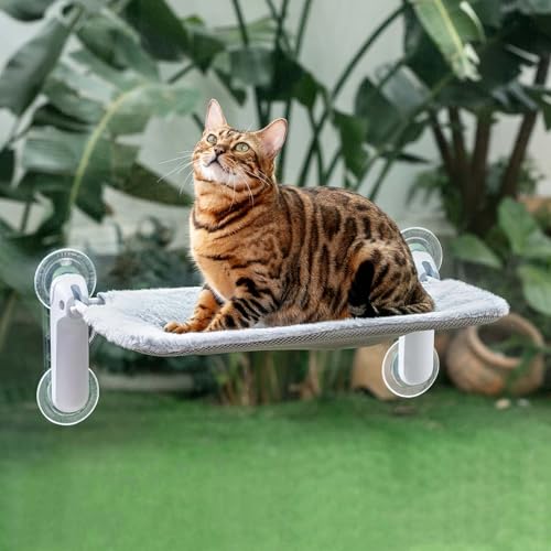 GUUSII HOME Katzen Fensterliege Faltbar Fensterbank Fensterbrettauflage Katzenbett Fenster Große Katze mit Saugnäpfen Hängematte Fensterliegeplatz Katzenliege Fensterscheibe 54 * 30cm (Hellgrau, M) GUUSII HOME Katzen Fensterliege Faltbar Fensterbank Fensterbrettauflage Katzenbett Fenster Große Katze mit Saugnäpfen Hängematte Fensterliegeplatz Katzenliege Fensterscheibe 54 * 30cm (Hellgrau, M) von GUUSII HOME