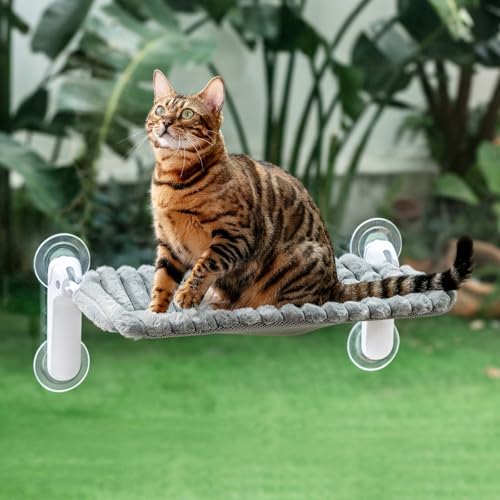 GUUSII HOME Katzen Fensterliege Faltbar Katzenbett Fenster Saugnäpfen Fensterbank Fensterbrettauflage für 2 Katze Hängematte Fensterscheibe Einfach zu Montieren Maschinenwaschbar 54 * 30cm (Grau, M) GUUSII HOME Katzen Fensterliege Faltbar Katzenbett Fenster Saugnäpfen Fensterbank Fensterbrettauflage für 2 Katze Hängematte Fensterscheibe Einfach zu Montieren Maschinenwaschbar 54 * 30cm (Grau, M) von GUUSII HOME