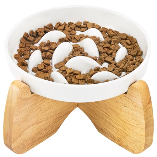 GUWINA Keramik Anti Schling Napf Katze Erhöht, 16 cm Breite Antischlingnapf Katze für Trockenfutter und Nassfutter, Flache Slow Feeder für Katzen mit Ständer, Spülmaschinenfest (Weiß) von GUWINA