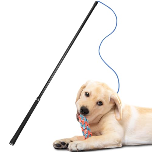 GW Gwongvvei Flirt Pole Dogs Interaktives Hundespielzeug für große, mittelgroße und kleine Hunde zum Jagen, Tauziehen, Kauspielzeug mit Federn für Outdoor-Übungen und Training von GW Gwongvvei