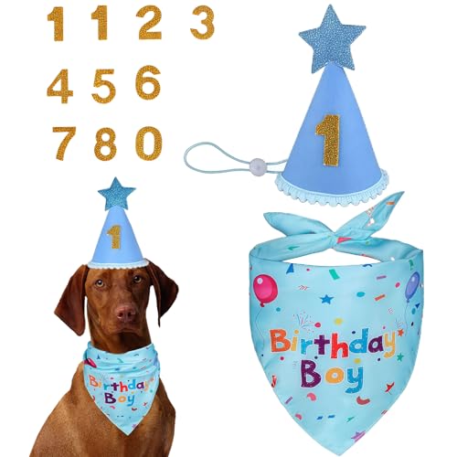 GWAWG Hunde Geburtstag Hut Bandana Set – 3 Stücke Geburtstag Set mit 0–9, Hund Geburtstag Halstuch Partyhut Geburtstagsdeko für Hunde Katzen – Hundegeburtstags Geschenk für Hundeparty Deko Blau von GWAWG