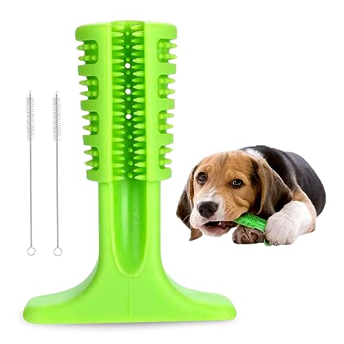 GWAWG Kauspielzeug Hund, Hund Unzerstörbar Unkaputtbar Hundespielzeug, Kauartikel zur Zahnreinigung für Hunde, mit 2 Reinigungsbürsten, Grün von GWAWG