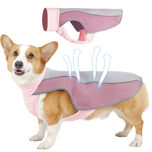 GWAWG Kühlweste Hund, Sonnenschutz für Hunde Kleine/Mittlere/Große, an Denen Sich im Sommer Eine Luftzufuhr der Netzhaube Eignet und die es Angenehm Macht, den Sicherheitsgurt Anzulegen GWAWG Kühlweste Hund, Sonnenschutz für Hunde Kleine/Mittlere/Große, an Denen Sich im Sommer Eine Luftzufuhr der Netzhaube Eignet und die es Angenehm Macht, den Sicherheitsgurt Anzulegen von GWAWG