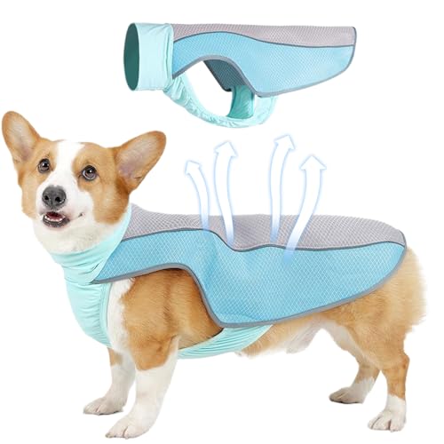GWAWG Kühlweste Hund, Sonnenschutz für Hunde Kleine/Mittlere/Große, an Denen Sich im Sommer Eine Luftzufuhr der Netzhaube Eignet und die es Angenehm Macht, den Sicherheitsgurt Anzulegen GWAWG Kühlweste Hund, Sonnenschutz für Hunde Kleine/Mittlere/Große, an Denen Sich im Sommer Eine Luftzufuhr der Netzhaube Eignet und die es Angenehm Macht, den Sicherheitsgurt Anzulegen von GWAWG