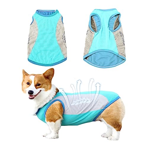 GWAWG Kühlweste für Hunde Kühlmantel Kühljacke Hund Weich Bequem mit Reflektorstreifen für den Sommer,Blau,M GWAWG Kühlweste für Hunde Kühlmantel Kühljacke Hund Weich Bequem mit Reflektorstreifen für den Sommer,Blau,M von GWAWG