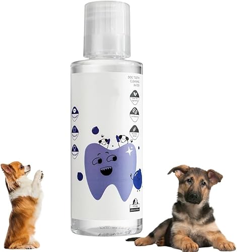 Paw Bright Zahnwasserzusatz für Katzen und Hunde, Paw Bright Hundewasser zur Zahnpflege, fördert gesundes Zahnfleisch und frischen Atem, beugt Plaque und Zahnstein vor Paw Bright Zahnwasserzusatz für Katzen und Hunde, Paw Bright Hundewasser zur Zahnpflege, fördert gesundes Zahnfleisch und frischen Atem, beugt Plaque und Zahnstein vor von GWQYHFEN