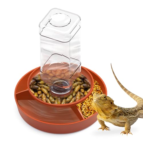 2-in-1 Reptilien-Futterspender Schüssel Wasserflasche, Automatischer Wasserspender Reptilien-Futterspender Kit für Amphibien, Eidechsen, Bartagamen, Schlangenfütterung, Orange 2-in-1 Reptilien-Futterspender Schüssel Wasserflasche, Automatischer Wasserspender Reptilien-Futterspender Kit für Amphibien, Eidechsen, Bartagamen, Schlangenfütterung, Orange von GYJZZW