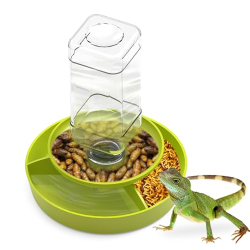 2-in-1 Reptilien-Futterspender Schüssel Wasserflasche, automatischer Wasserspender Reptilien-Futterstation Kit für Amphibien, Eidechsen, Bartagamen, Schlangenfütterung, Grün von GYJZZW