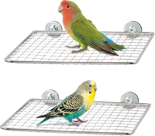 2 x Edelstahl-Vogel-Sitzstangen für Käfig, offenes Gitter, leicht zu reinigen, Krallenfreundlicher Griff, Sittich-Sitzstangen, flache Vogel-Plattform-Sitzstange für Nymphensittiche, Wellensittiche (2 2 x Edelstahl-Vogel-Sitzstangen für Käfig, offenes Gitter, leicht zu reinigen, Krallenfreundlicher Griff, Sittich-Sitzstangen, flache Vogel-Plattform-Sitzstange für Nymphensittiche, Wellensittiche (2 von GYJZZW
