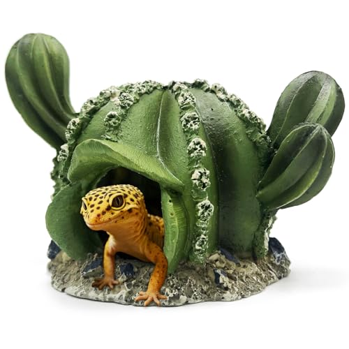 Bartagame, Reptilienversteck, Höhlen, Mais, Eidechse, Leopard, Gecko, Tankzubehör, Schildkröte, Schlangendekoration, Amphibien, Lebensraum, Schildkröte, personalisierte Dekoration (Kaktus) von GYJZZW