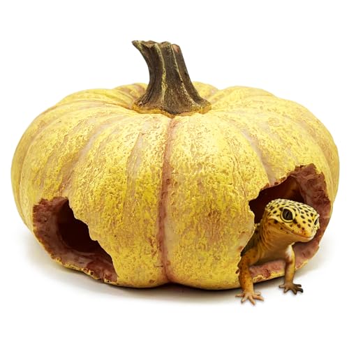 Bartagame, Reptilienversteck, Höhlen, Mais, Eidechse, Leopard, Gecko, Tankzubehör, Schildkröte, Schlangendekoration, Amphibien, Lebensraum, Schildkröte, personalisierte Dekoration (Kürbis) von GYJZZW