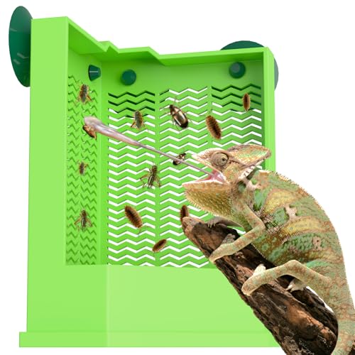Bartagamen-Futterstation – ausbruchsichere Eck-Reptilienfutterbox Wandmontage mit Saugnäpfen für Insekten – Käferschale für Eidechsen, Geckos, Chamäleons & Frösche (groß) von GYJZZW