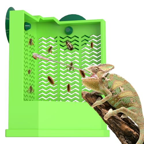 Bartdrachen Feeder - Ausbruchsichere Eck-Reptilienfutterbox Wandmontage mit Saugnäpfen für Insekten - Käferschale für Eidechsen, Geckos, Chamäleons & Frösche (klein) von GYJZZW