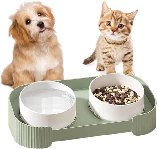 Erhöhte Katzennäpfe aus Keramik, um 16 ° geneigt, erhöhter Ständer mit Futter- und Wassernäpfen-Set für Katzen und Hunde, auslaufsicher und verhindert Erbrechen, Haustier-Futterstation von GYJZZW