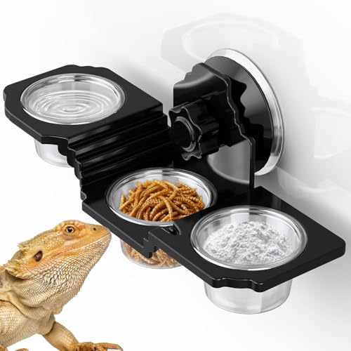 GYJZZW Crested Gecko Futternapf All-in-One Gecko Fütterungsleiste Reptilien Wassernapf mit Bechern für Reptilien Futter/Wasser/Nahrungsergänzungsmittel Fütterung, Starkes Saugnapf-Design, Leicht zu GYJZZW Crested Gecko Futternapf All-in-One Gecko Fütterungsleiste Reptilien Wassernapf mit Bechern für Reptilien Futter/Wasser/Nahrungsergänzungsmittel Fütterung, Starkes Saugnapf-Design, Leicht zu von GYJZZW