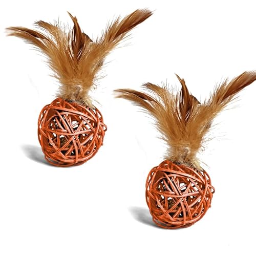 GYJZZW Feder-Katzenballspielzeug mit Glocke, Katzenspielzeug für Indoor-Katzen, interaktives Kauspielzeug für Kätzchen, Orange, 2 Stück GYJZZW Feder-Katzenballspielzeug mit Glocke, Katzenspielzeug für Indoor-Katzen, interaktives Kauspielzeug für Kätzchen, Orange, 2 Stück von GYJZZW