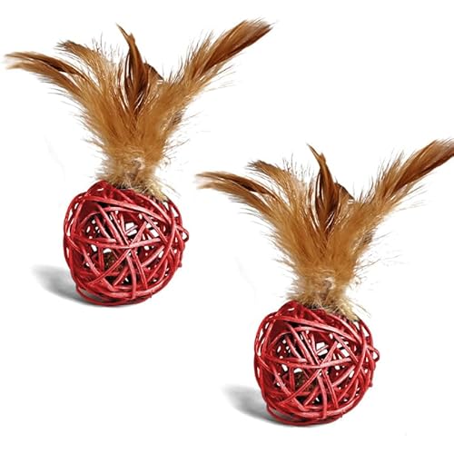 GYJZZW Feder-Katzenballspielzeug mit Glocke, Katzenspielzeug für Indoor-Katzen, interaktives Kauspielzeug für Kätzchen, Rot, 2 Stück GYJZZW Feder-Katzenballspielzeug mit Glocke, Katzenspielzeug für Indoor-Katzen, interaktives Kauspielzeug für Kätzchen, Rot, 2 Stück von GYJZZW