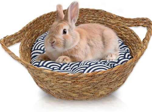 GYJZZW Großes Kaninchenbett für Kaninchen mit warmem Kissen, natürlich gewebtes Kaninchenbett, groß für drinnen zum Spielen, Schlafen und Krallenschleifen, gemütliche Kleintierbetten für GYJZZW Großes Kaninchenbett für Kaninchen mit warmem Kissen, natürlich gewebtes Kaninchenbett, groß für drinnen zum Spielen, Schlafen und Krallenschleifen, gemütliche Kleintierbetten für von GYJZZW