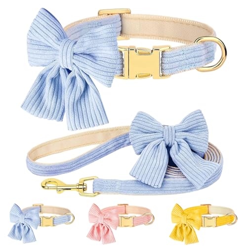 Hundehalsband und Leine, Set mit Fliege, niedliches Hundehalsband, Metallschnalle, verstellbar für kleine und mittelgroße Welpen, mit 150 cm langer Leine, Blau, Größe S: Halsumfang 27,9 - 43,2 cm von GYJZZW