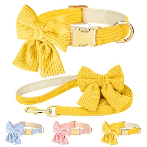 Hundehalsband und Leine, Set mit Fliege, niedliches Hundehalsband, Metallschnalle, verstellbar für kleine und mittelgroße Welpen, mit 150 cm langer Leine, Gelb, M: Halsumfang 35,6 - 55,9 cm, Leine von GYJZZW