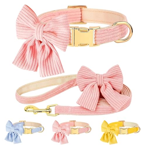 Hundehalsband und Leine, Set mit Fliege, niedliches Hundehalsband, Metallschnalle, verstellbar für kleine und mittelgroße Welpen, mit 150 cm langer Leine, Rosa, S: Halsumfang 27,9 - 43,2 cm, Leine von GYJZZW