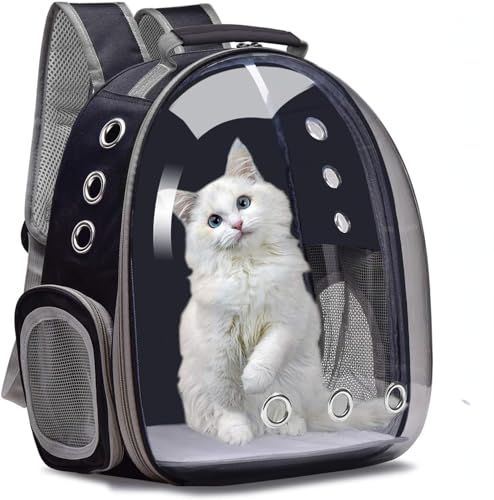 Katzenrucksack, Luftpolster-Tragetasche, kleiner Hunderucksack für kleine, mittelgroße Hunde und Katzen, Weltraumkapsel, Haustier-Tragetasche, Hund, Wanderrucksack (schwarz) von GYJZZW