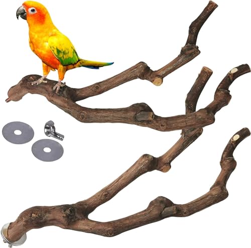 Natürliche Papageien-Sitzstange, Vogelständer, wilde Traubenstab, Pfote, Schleifgabel, Sittich, Klettern, stehende Äste, Spielzeug, kaubarer Käfig-Zubehör für kleine Wellensittiche, Nymphensittiche, von GYJZZW