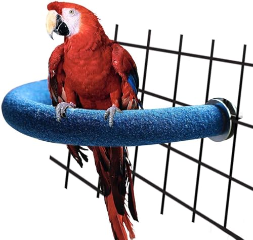 Papageien-Sitzstange mit rauer Oberfläche – Quarzsand Vogelkäfig Sitzstangen für kleine Sittiche, Nymphensittiche, Aras, Papageien, Liebesvögel, Finkenkäfige Spielzeug, U-Form (Blau, L) von GYJZZW
