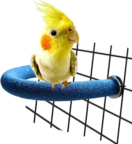 Papageien-Sitzstange mit rauer Oberfläche – Quarzsand Vogelkäfig Sitzstangen für kleine Sittiche, Nymphensittiche, Aras, Papageien, Liebesvögel, Finkenkäfige Spielzeug, U-Form (Blau S) von GYJZZW